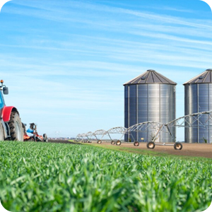 Fertilizer Companies